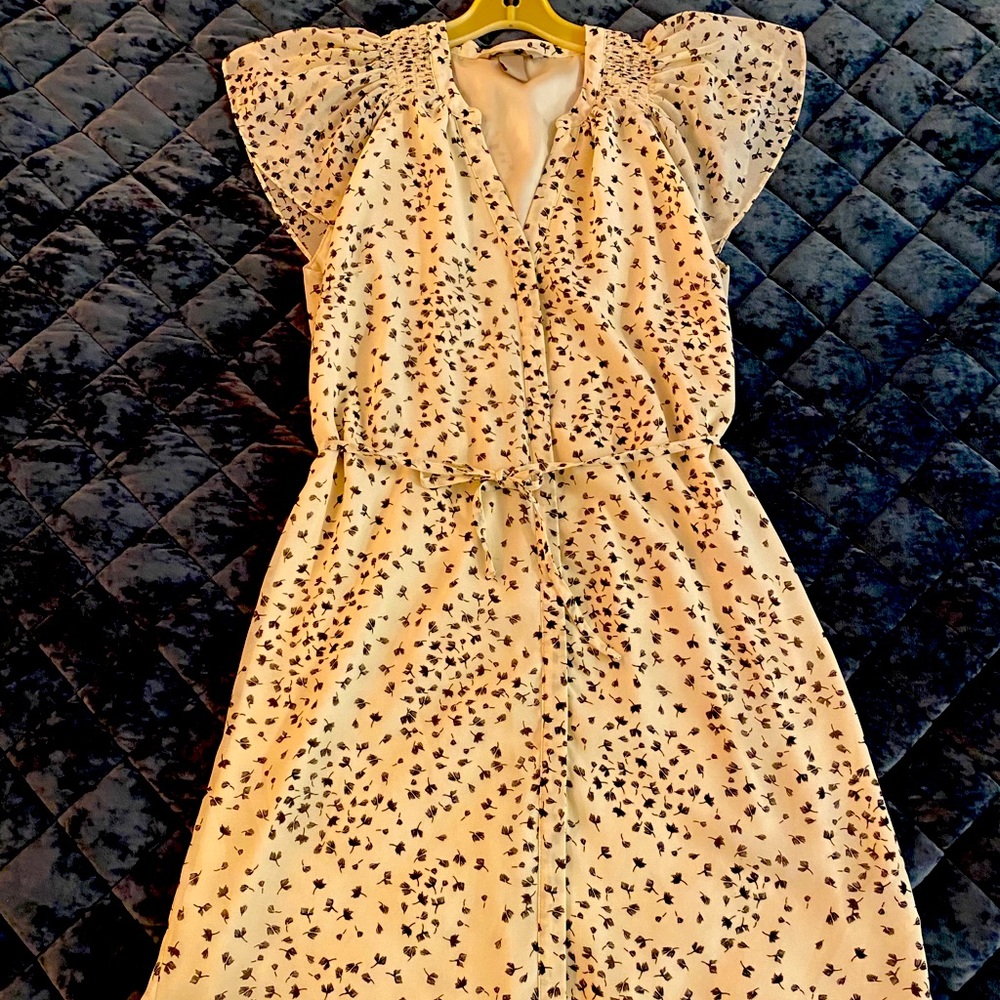 H&M white button down dress